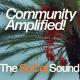 COMMUNITY AMPLIFIED Artboard 27 copy 6 100