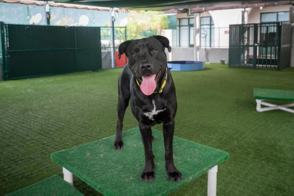 Grant 3 A522206 9.06