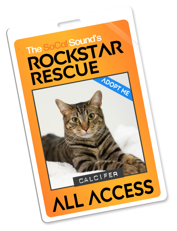KCSN RockstarRescue PotW 072226 Pass