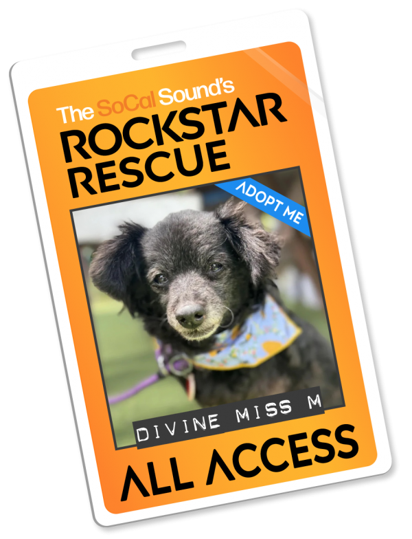 KCSN RockstarRescue PotW 091025 4 Pass2