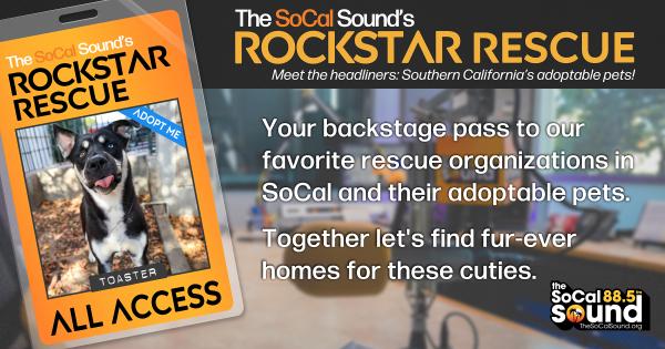 KCSN RockstarRescue PotW 020426 CreateOutlines FACEBOOK 1200x631