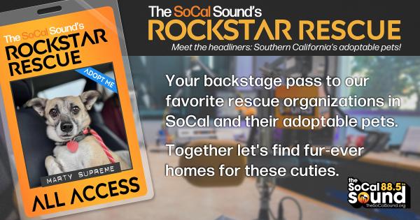 KCSN RockstarRescue PotW 031126 CreateOutlines FACEBOOK 1200x630