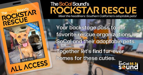 KCSN RockstarRescue PotW 061026 CreateOutlines FACEBOOK 1200x630