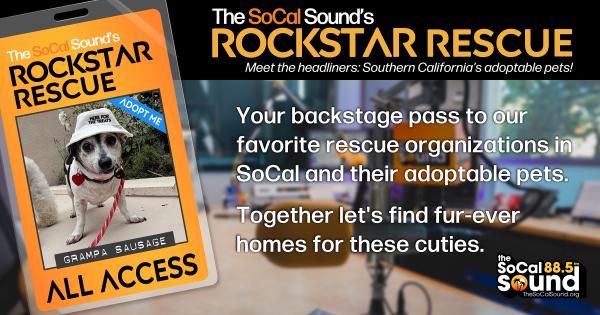 KCSN RockstarRescue PotW 062426 CreateOutlines FACEBOOK 1200x630