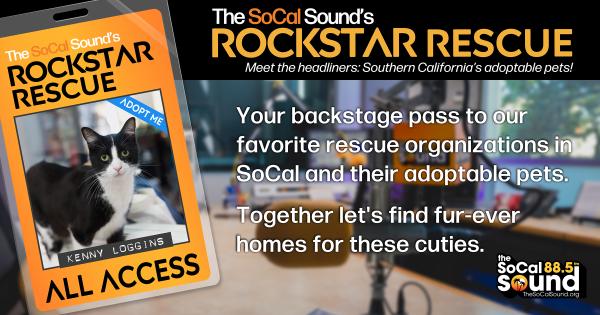 KCSN RockstarRescue PotW 070126 CreateOutlines FACEBOOK 1200x631