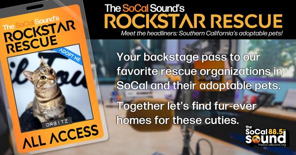 KCSN RockstarRescue PotW 071526 CreateOutlines FACEBOOK 1200x630