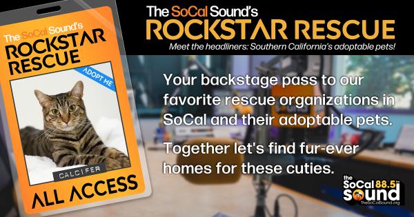 KCSN RockstarRescue PotW 072226 CreateOutlines FACEBOOK 1200x630